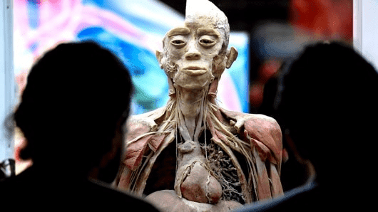 Extienden exposición “BODIES cuerpos humanos reales”