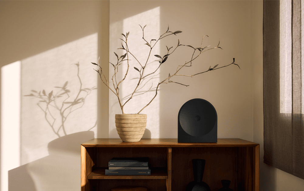 Bocina Music Studio 5 sobre un mueble de madera junto a una maceta con ramas