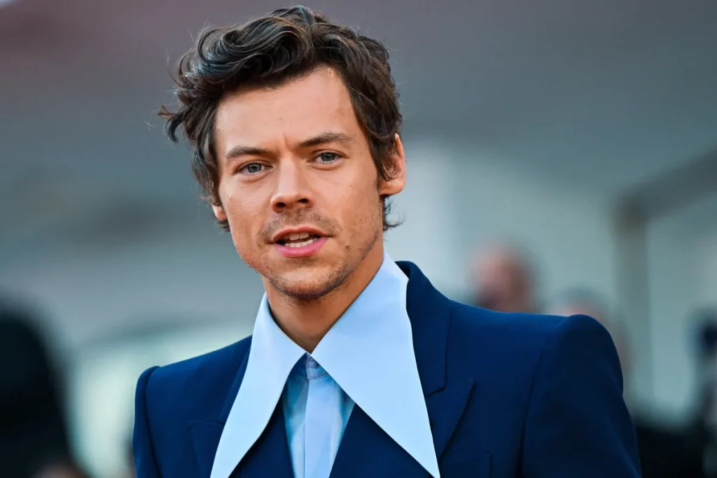 El 2022 fue el año de Harry Styles